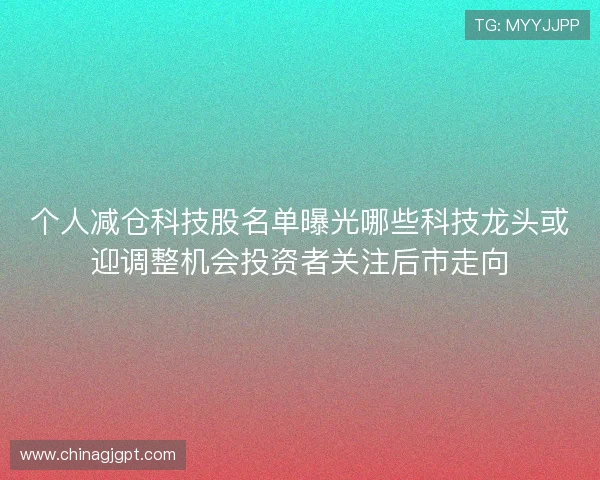 个人减仓科技股名单曝光哪些科技龙头或迎调整机会投资者关注后市走向 个人减仓科技股名单曝光哪些科技龙头或迎调整机会投资者关注后市走向